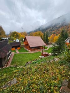 Cabana Gabriela-Tarcau