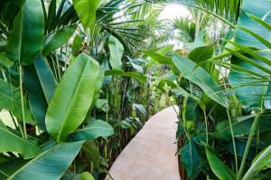 Villa Tortuga lux 4 Bdr Big garden*Pool *Cenote