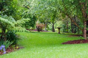 Mt Glorious Getaways