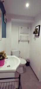 Loft Hola