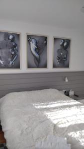 Comfort apartment in Belvedere M101