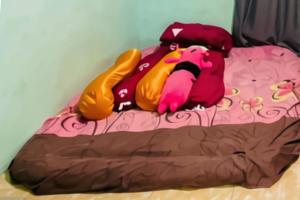 Countryside Homestay