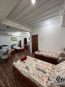 Kcity transient and apartment