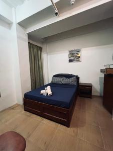 Kcity transient and apartment