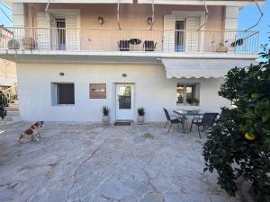 Twin Orange Trees House