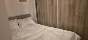 FLH - Adora Pipera - Suite with AC&Parking
