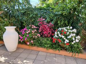 Corredoura Garden