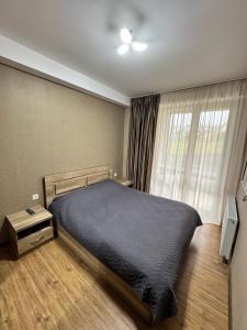 Haystack Bakuriani Apartment 25