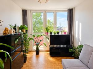 Hetmańska 52 Homestay