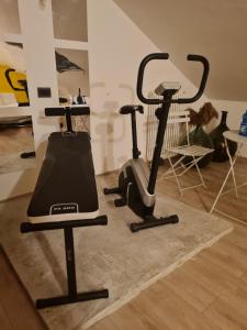 LA SUITE DEL DOGE - Suite con Bagno privato, Vasca, Caminetto estetico, Ingresso Indipendente, Angolo Fitness e Cromoterapia