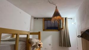 Ocean breeze taghazout