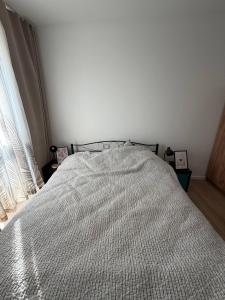 Lumina I Comfort 2-room Apart with Parking I Balcony