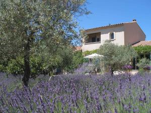 B&B / Chambres d'hotes Le clos des lavandes-Luberon : photos des chambres