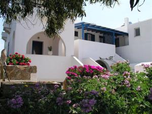 Popy Kythira Greece