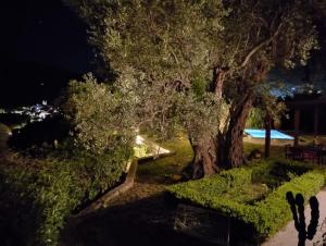 Casale Oliva Cefalù Farmhouse - Pettineo