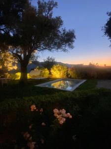 Casale Oliva Cefalù Farmhouse - Pettineo