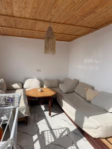 Adar surf house