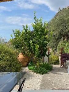 Villa L Uliveto-Calmcation