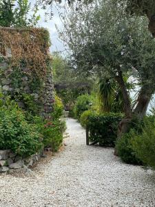 Villa L Uliveto-Calmcation