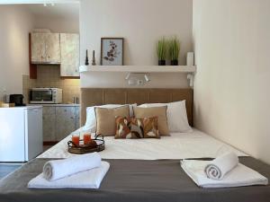 Penthouse studio with a view of Athens