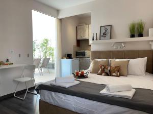 Penthouse studio with a view of Athens
