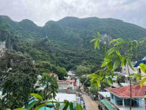 Alocasia Inn