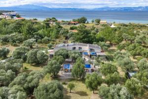 Elaida suites