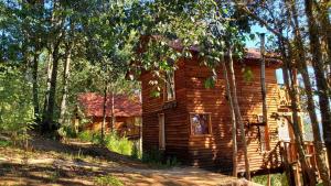 Cabaña en el Bosque de San José del Pacífico 3