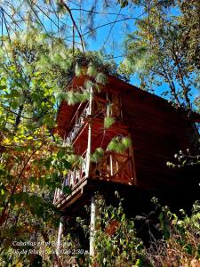Cabaña en el Bosque de San José del Pacífico 3
