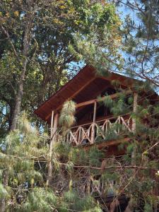 Cabaña en el Bosque de San José del Pacífico 3