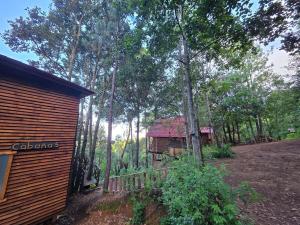 Cabaña en el Bosque de San José del Pacífico 3