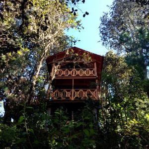 Cabaña en el Bosque de San José del Pacífico 3
