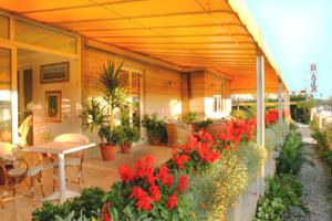 Hotel Alk
