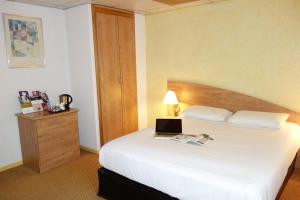 Hotels Mercure Epinal Centre : photos des chambres