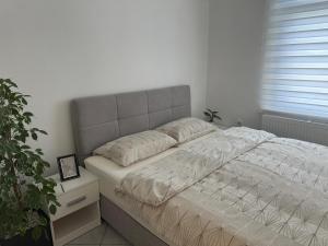 Apartments Klavdija Celje