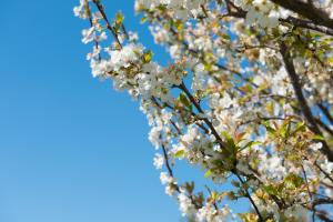 Agroturisme Perola - Only Adults