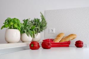 Luxury New !!! Apartment One and Only with terrace & free bikes