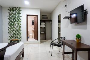 Balxiba Playa del Carmen Downtown Boutique Hotel