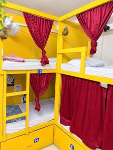 Cozy Inn Hostel