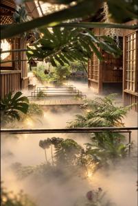 Thỏ Non Garden - Bảo Lộc Center 02