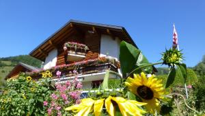 Verträumt schön zu jeder Jahreszeit Bergpanoramasicht