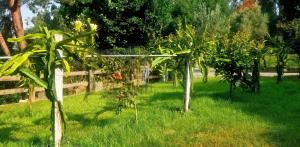 Ideal Villa in Vila Nova de Famalicão with Private Pool