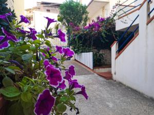 Charming Apartment in Alcamo - 50 m² - Balcony and Parking
