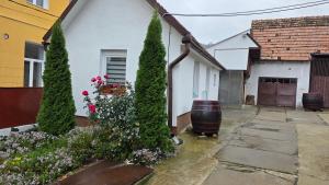 Casa MARIA Darlos