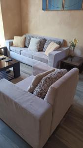 Buganvillas todo lo que necesitas para sentirte en casa