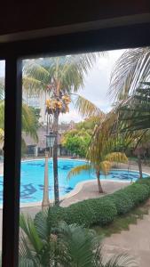 Buganvillas todo lo que necesitas para sentirte en casa