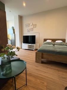 Krasińskiego - Apartament w Centrum