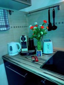 Green Dream Apartman