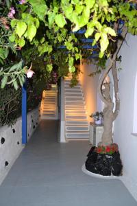 Melina Hotel Santorini Greece