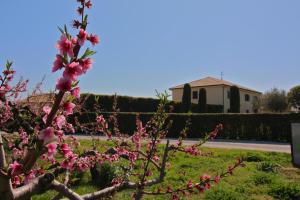 Portasirena Agriturismo